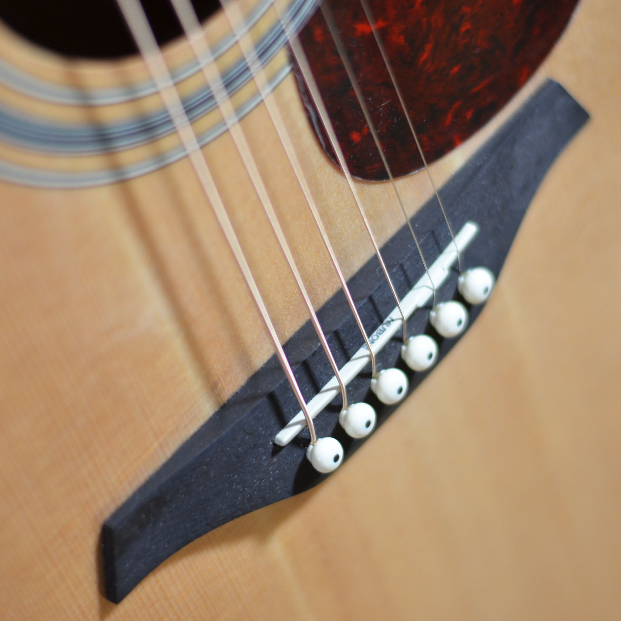 Vintage VE300N Electro Acoustic Guitar Demo